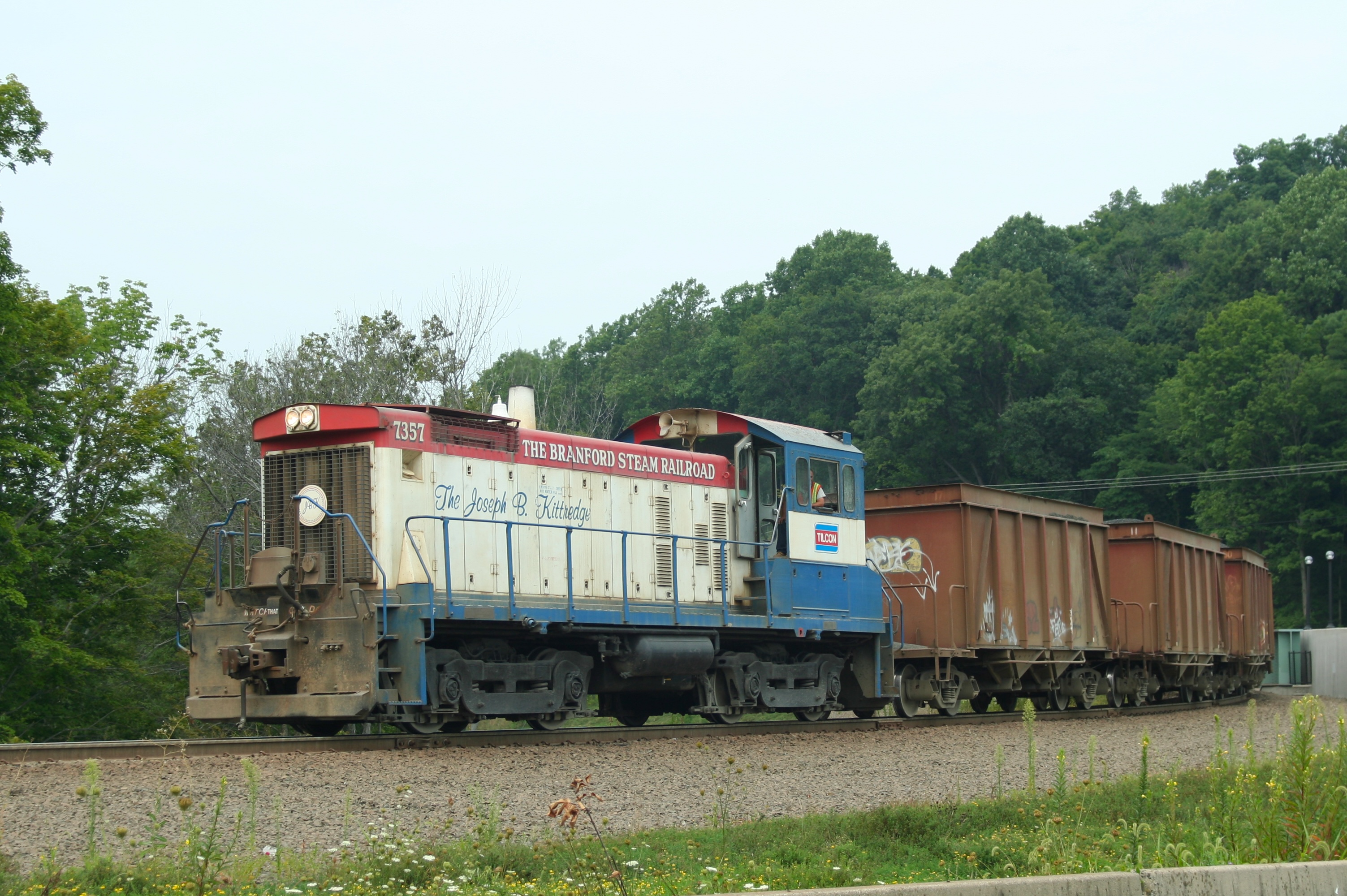 Somebody's Large Digital Image Here